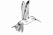 黑料网今日被曝网红整形反转事件再起波澜再起波澜终极真相，网红黑料是什么意思